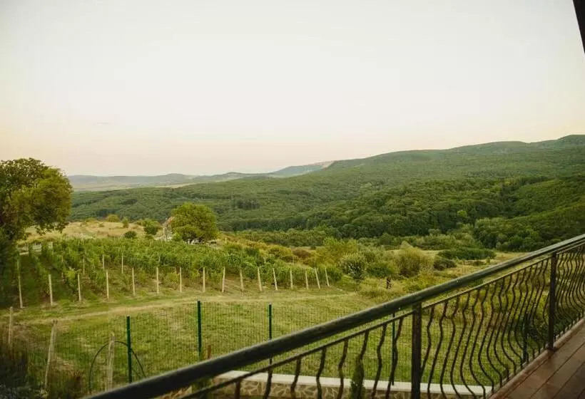 ペンション Cabana Dintre Vii