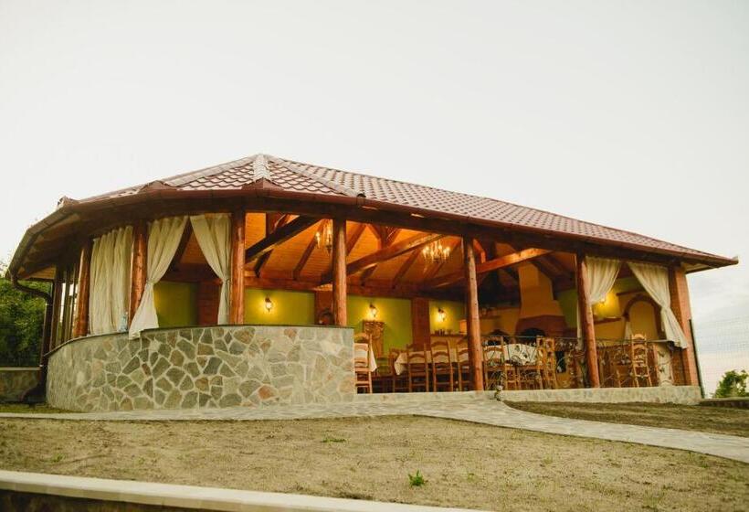 펜션 Cabana Dintre Vii