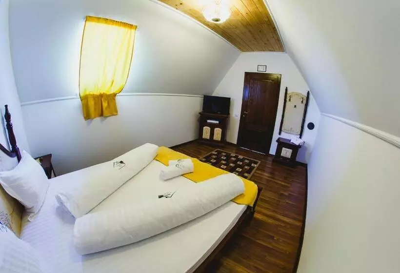 ペンション Cabana Dintre Vii