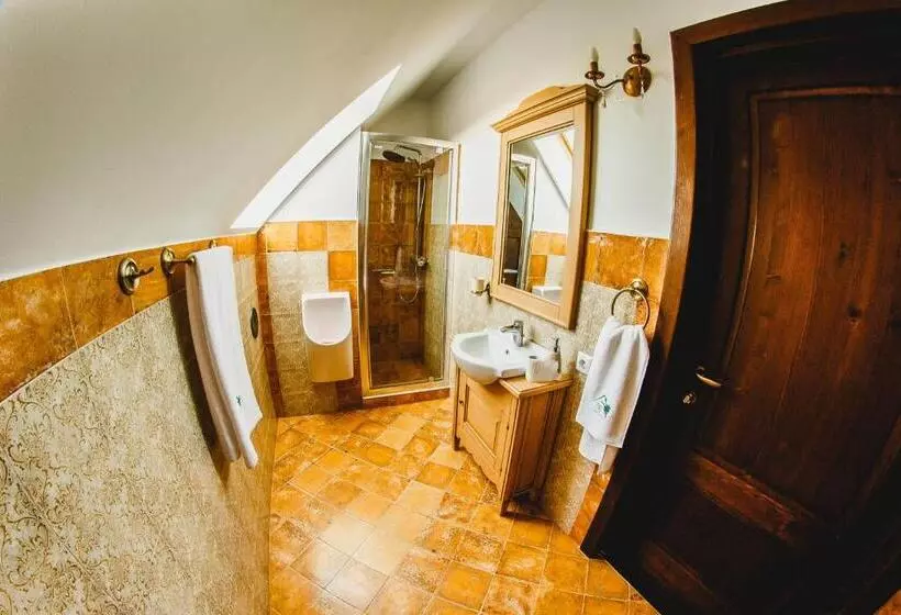 ペンション Cabana Dintre Vii