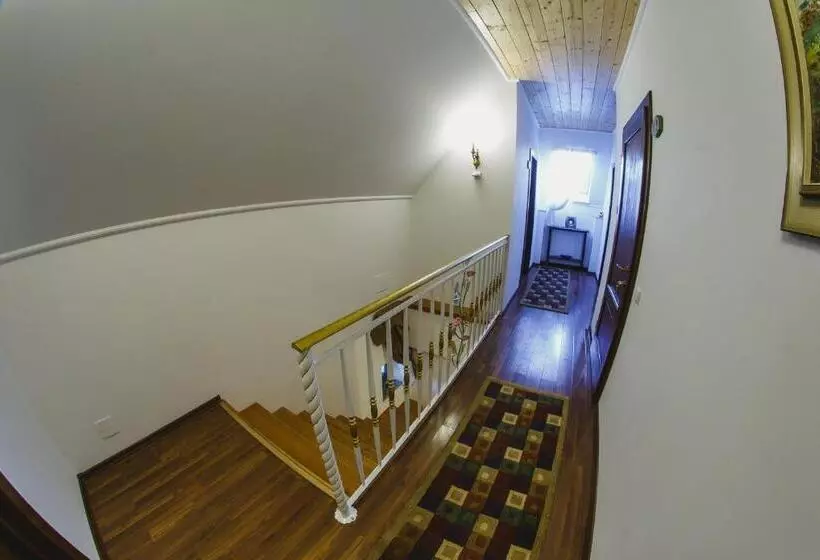 ペンション Cabana Dintre Vii