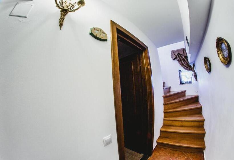 펜션 Cabana Dintre Vii