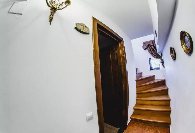 ペンション Cabana Dintre Vii