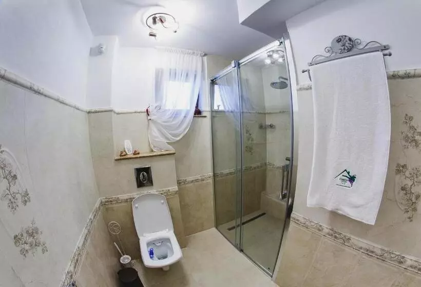 ペンション Cabana Dintre Vii