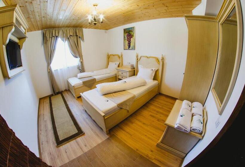 펜션 Cabana Dintre Vii