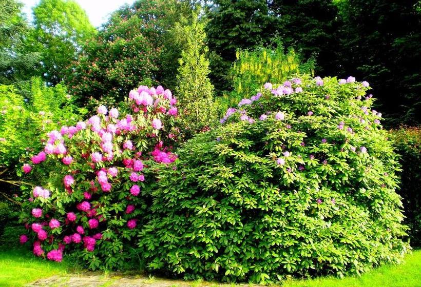 بنسيون Villa Des Capucins