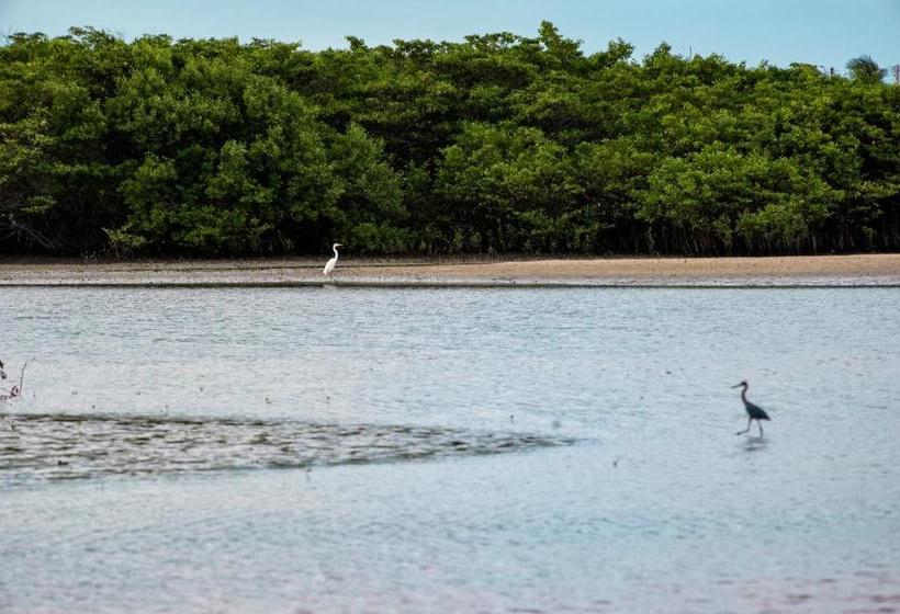 منتجع Chalés Estrelas Do Mar