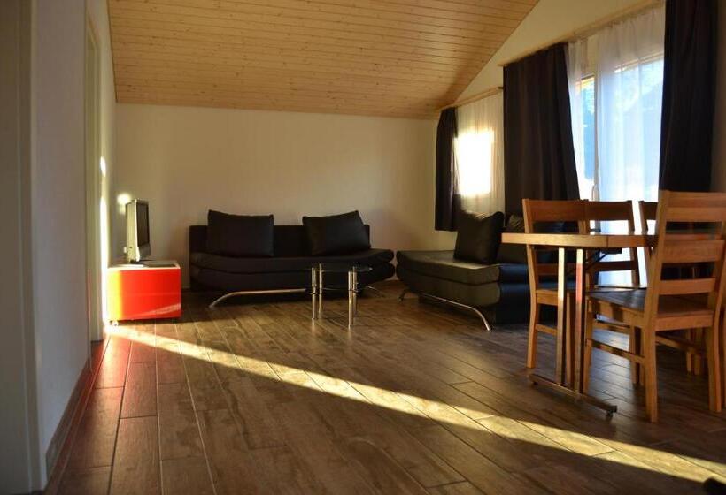 Swiss Chalet Holidays Ringgenberg