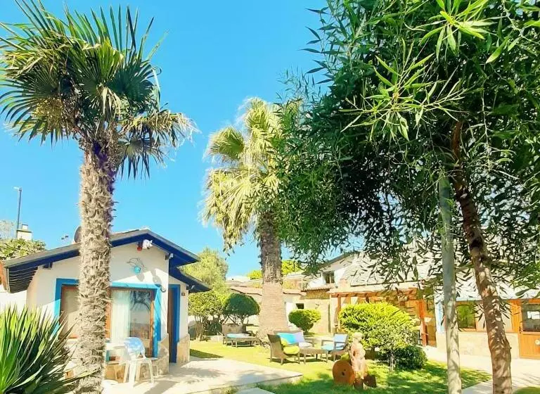 ベッドアンドブレックファースト Palm Beach Bungalow
