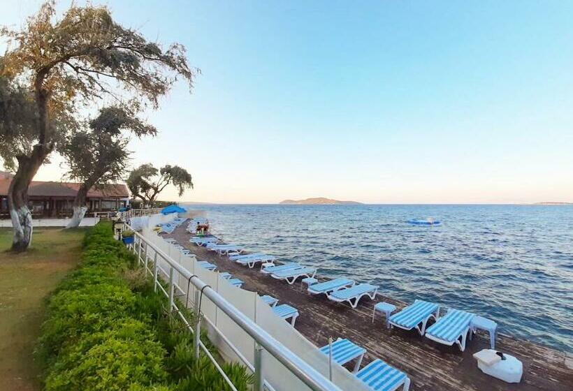 צימר Palm Beach Bungalow