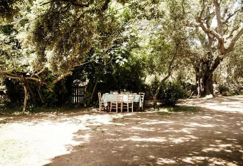 هتل Agriturismo Casteddu