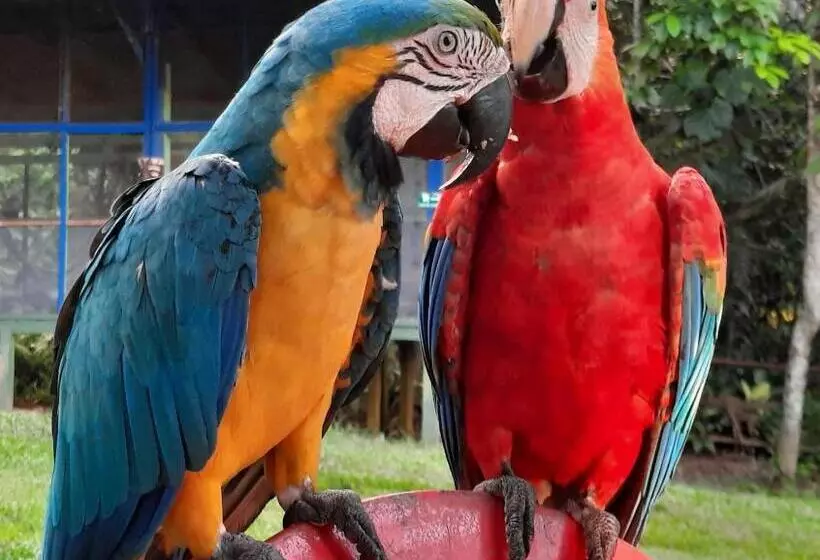 Hotelli Cabañas Alto Del Aguila
