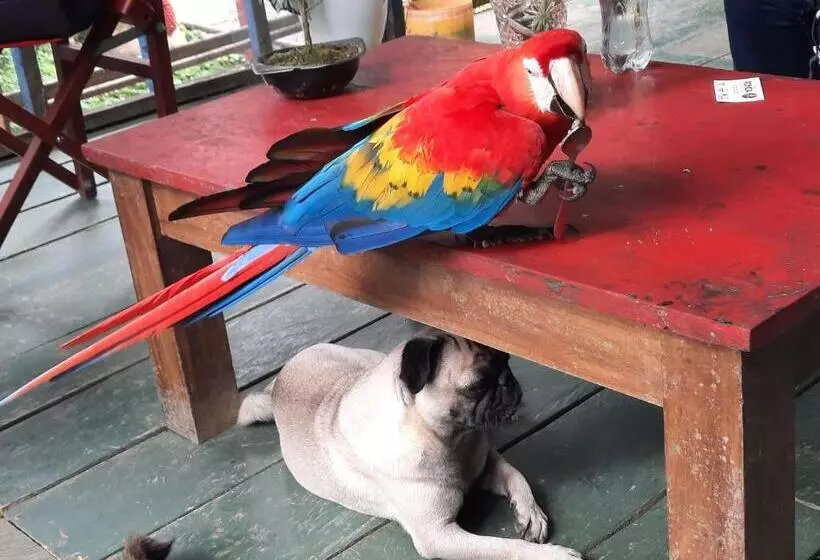 Hotelli Cabañas Alto Del Aguila