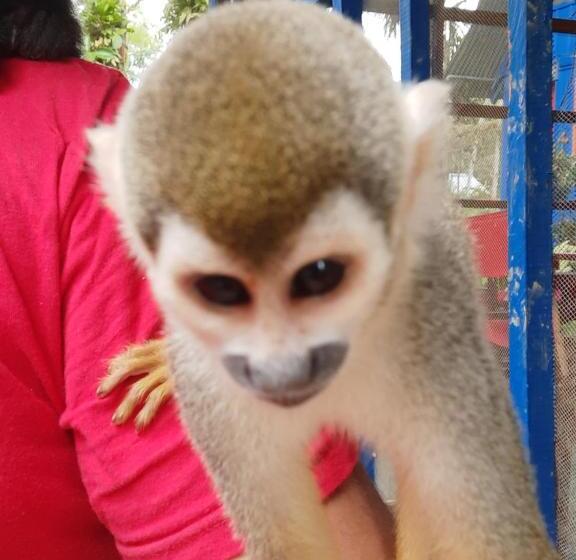 هتل Cabañas Alto Del Aguila