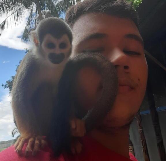 هتل Cabañas Alto Del Aguila