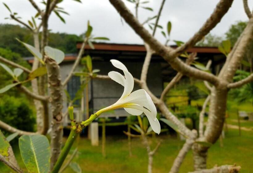 تختخواب و صبحانه Annie Meen S Place Koh Yao Noi