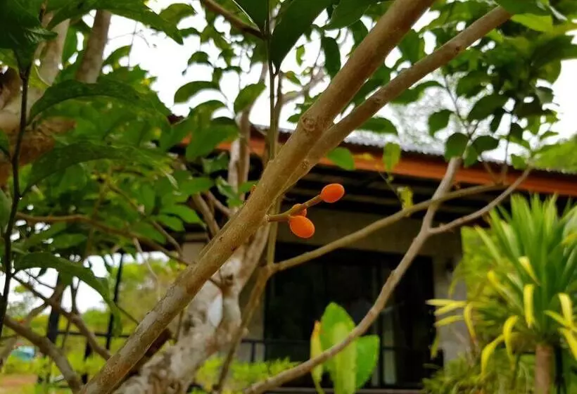 Aamiaismajoitus (B&B) Annie Meen S Place Koh Yao Noi