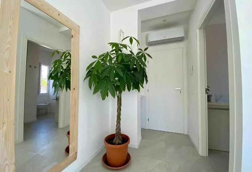 تختخواب و صبحانه Pathos Guest House