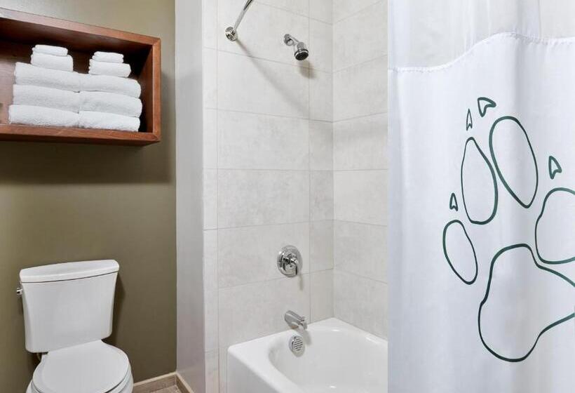 בית מלון כפרי Great Wolf Lodge Manteca