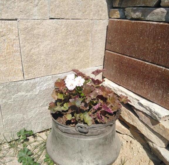 بنسيون къща за гости яна