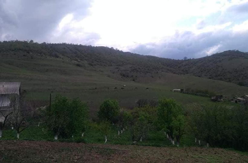 Pensão Amoj B&b And Guest House