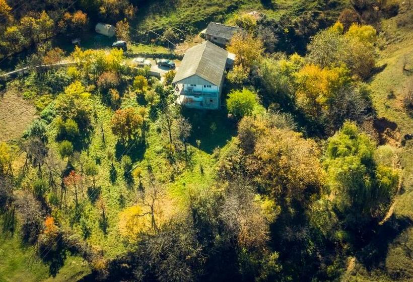 Pensão Amoj B&b And Guest House