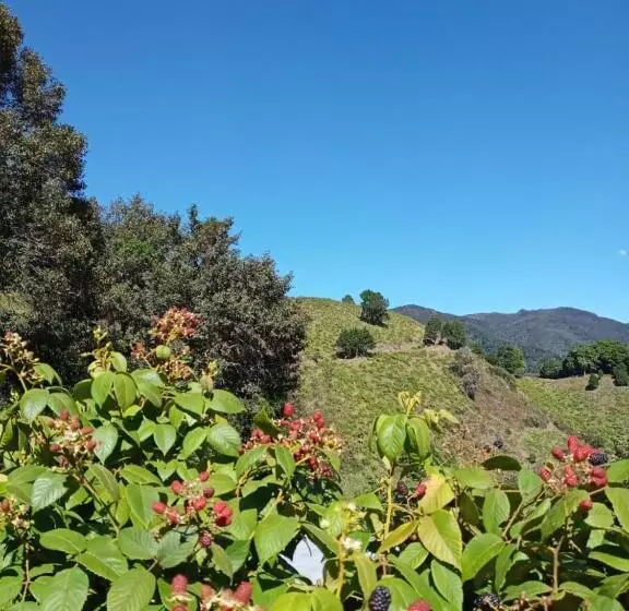 هاستل Cabaña Doña Dacia