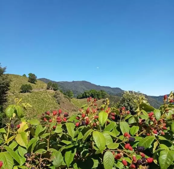 هاستل Cabaña Doña Dacia