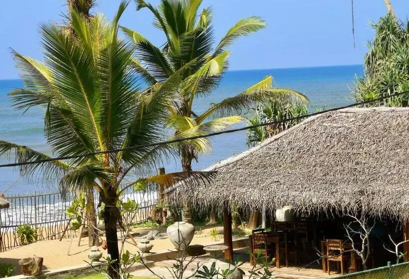 ベッドアンドブレックファースト Thoduwawa Beach Villa