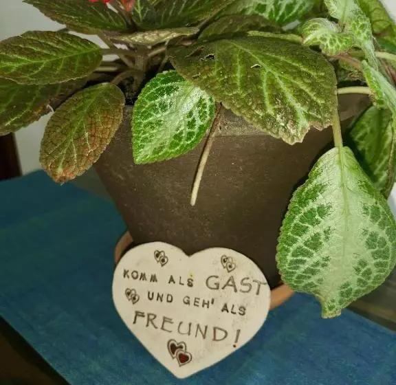 ベッドアンドブレックファースト Thoduwawa Beach Villa