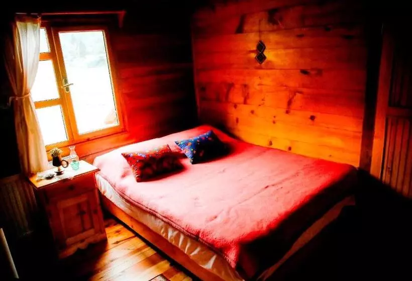 Hotel Kuşpuni Mountain Lodge