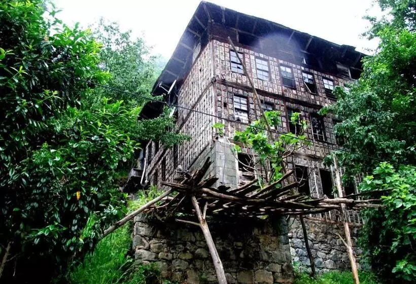 Hotel Kuşpuni Mountain Lodge