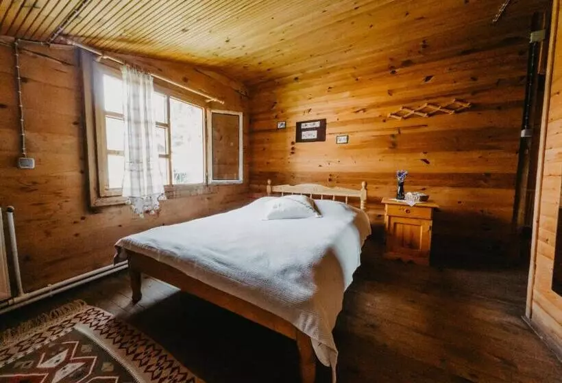 Hotel Kuşpuni Mountain Lodge