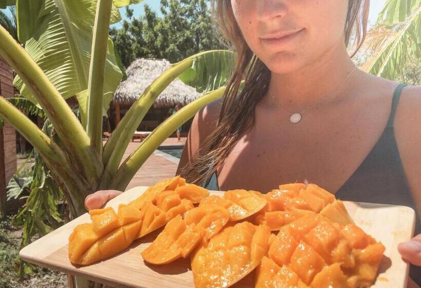 فندق Monoloko Lodge Popoyo