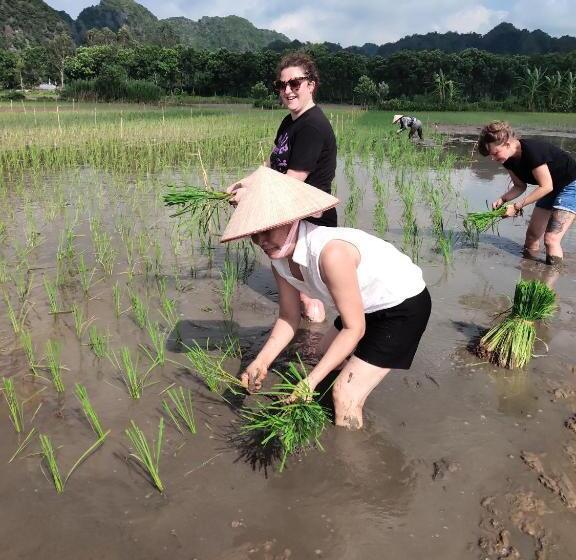 هتل Tam Coc Lotus Flower Homestay