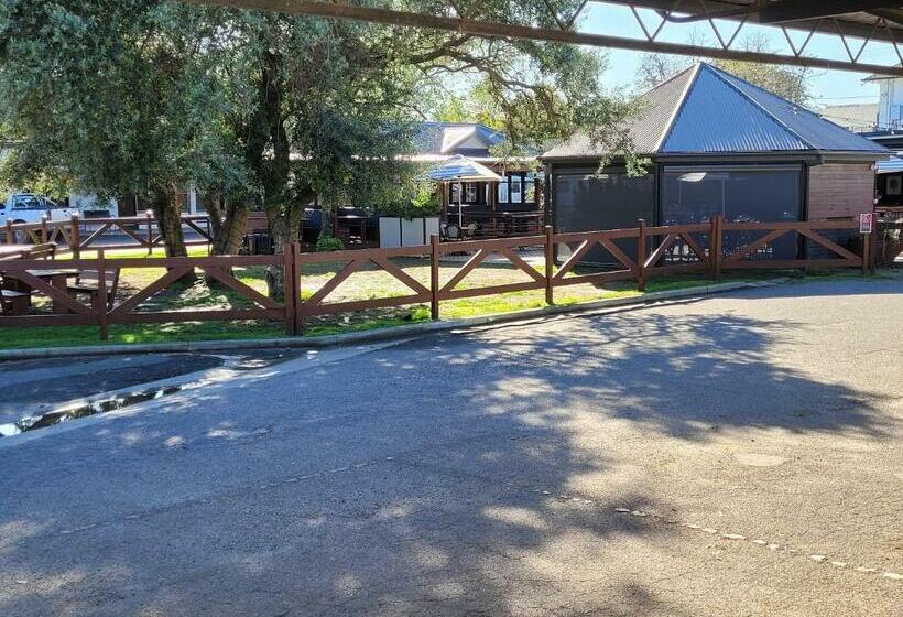 Мотель Palm And Pawn Motor Inn