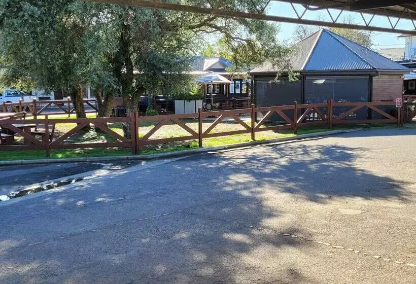 Motelli Palm And Pawn Motor Inn