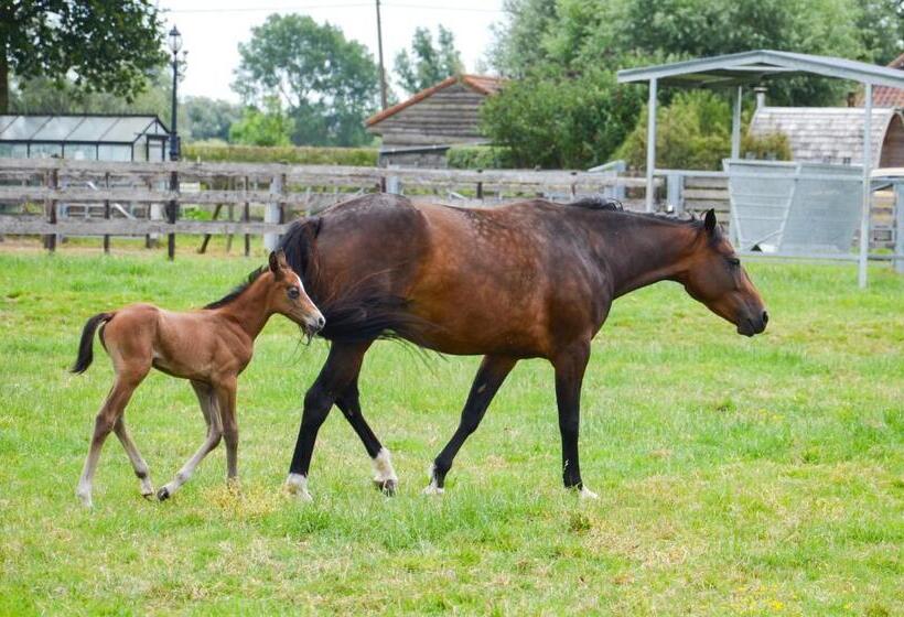 住宿加早餐  Bb Hof Ter Boone