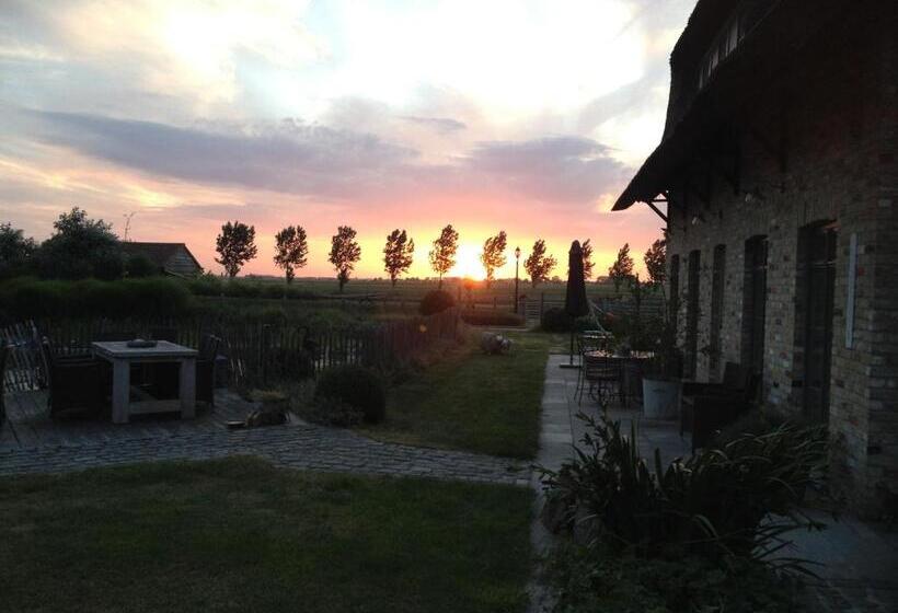 住宿加早餐  Bb Hof Ter Boone