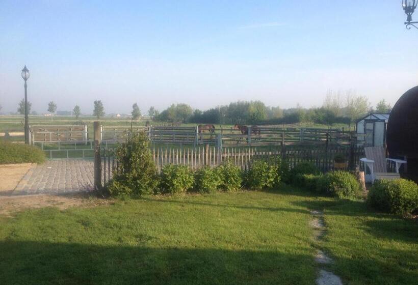 住宿加早餐  Bb Hof Ter Boone