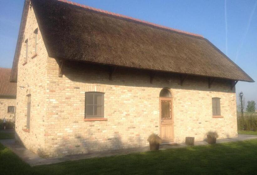 住宿加早餐  Bb Hof Ter Boone