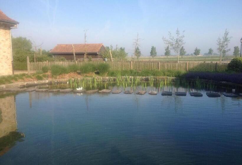 住宿加早餐  Bb Hof Ter Boone