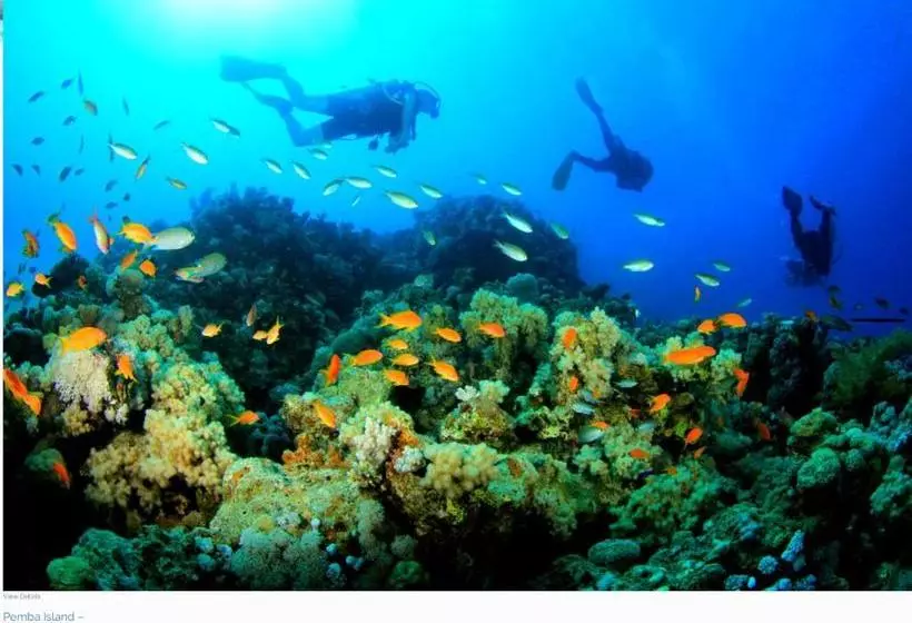 Hotelli Lala Lodge Pemba Zanzibar