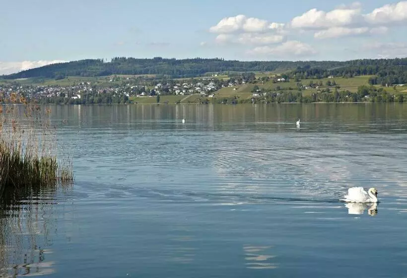 Hotelli Restaurant Schifflände