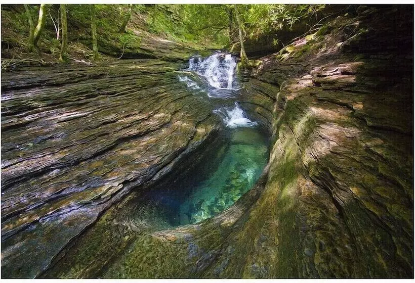 Hotelli Western Front