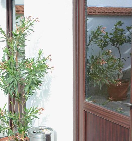 Pensjonat Guest House Dar