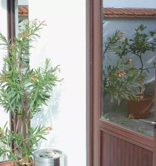 Majatalo Guest House Dar