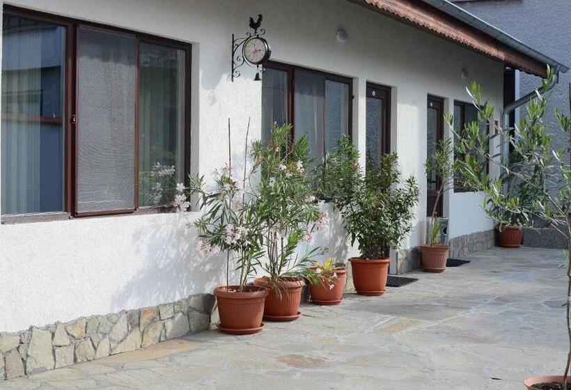 Pensjonat Guest House Dar