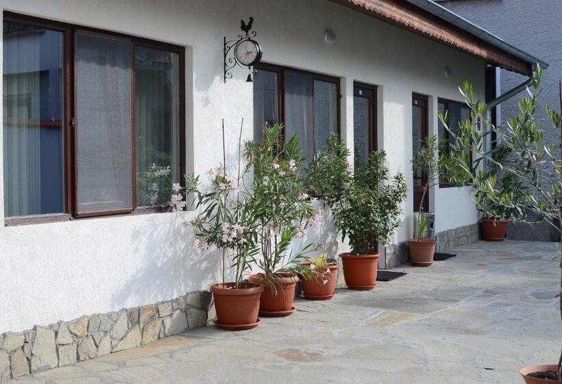 Pensjonat Guest House Dar