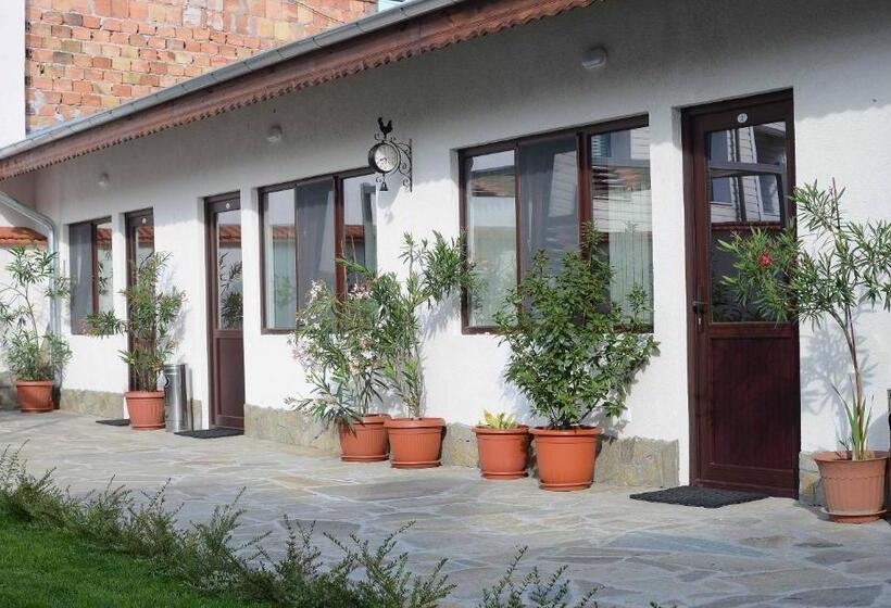 Pensjonat Guest House Dar